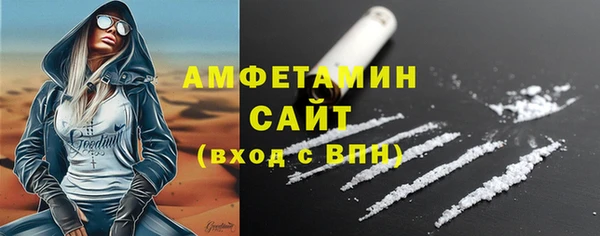 шишки Осташков