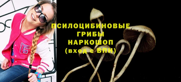 гидропоника Пестово