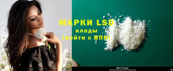 шишки Осташков