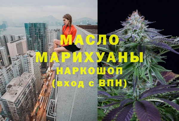 шишки Осташков