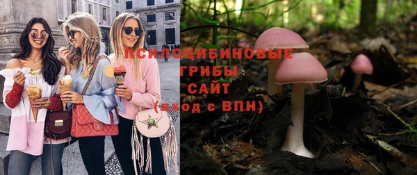 МДПВ Остров