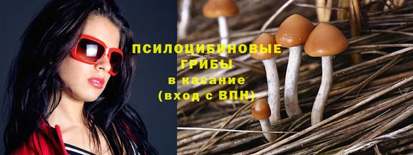 ГАЛЛЮЦИНОГЕННЫЕ ГРИБЫ Гусев