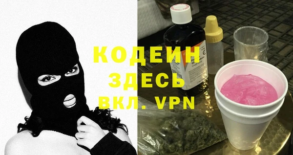 шишки Осташков