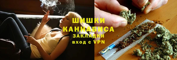 ешки Вуктыл