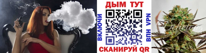 где продают наркотики  Кувшиново  Шишки марихуана White Widow 